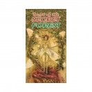 Tarot of the Secret Forest - Таро Заповедного Леса